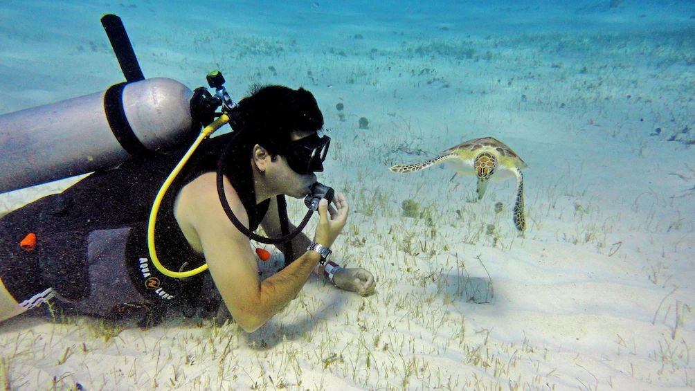 Discover Scuba