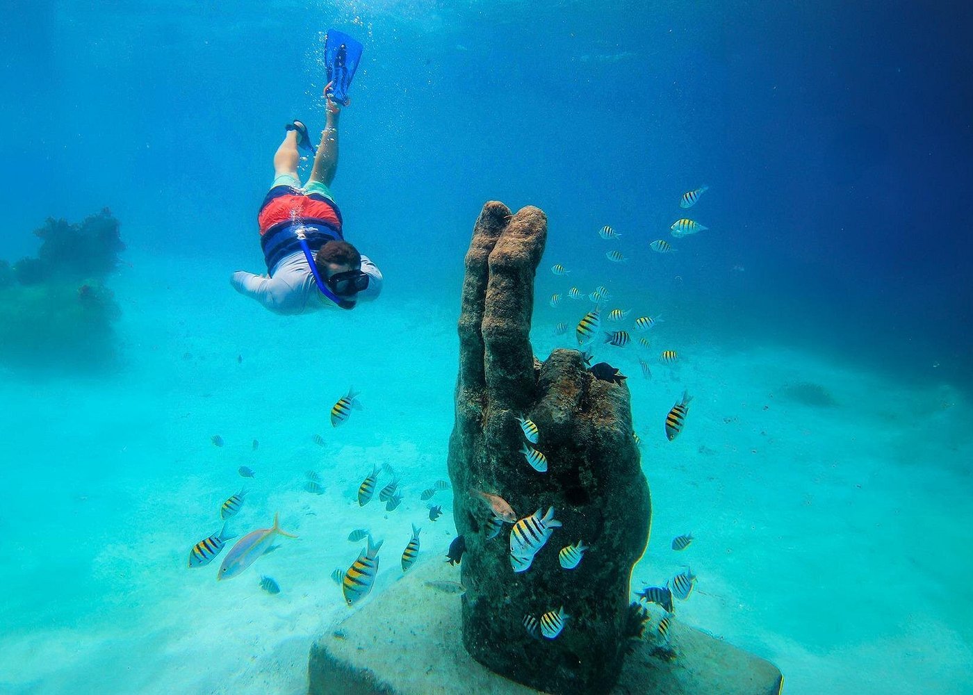 Snorkel en Isla Mujeres